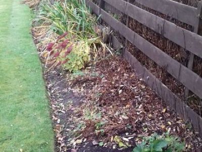 Winter border before