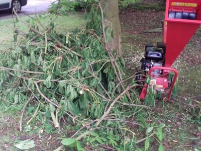 Tree chipping