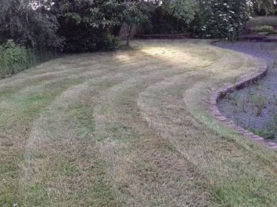 Overgrown lawn cut