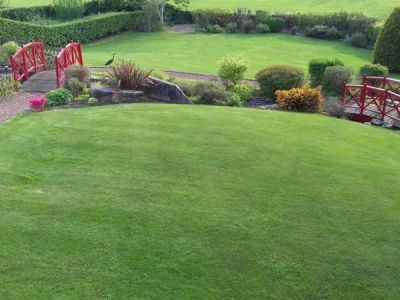 Landscaped lawn